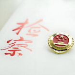 武冈检察官为中小学教师送法治必修课