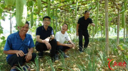 双峰县花门镇春山村：解锁“蝶变”密码 绘就乡村振兴新画卷