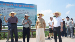 从贱卖到抢购，湖南大豆为何火了