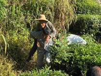 巡线途中遇老人摔倒  供电员工紧急救助