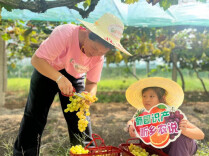 高塘岭街道：美食美市展乡产 青春聚力助乡兴