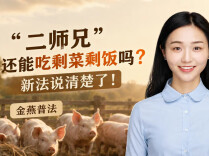 “二师兄”还能吃剩菜剩饭吗？新法说清楚了！︱生活有说“法”·金燕之谈