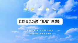 为何近期台风“扎堆”来袭？专家解读来了