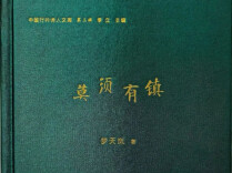 虚境藏实相，微物载苍生——评梦天岚诗集《莫须有镇》