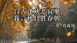 及时当勉励，岁月不待人 又是一年开学季|一千零一页（14）