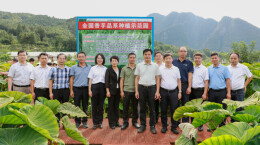 发挥科研主力军优势  省农科院全力帮扶驻点村