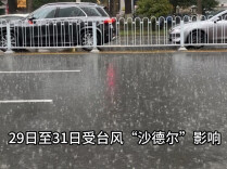 台风“沙德尔”来袭！29日至31日对我省有风雨影响