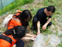 观点头条丨“到此一游”式的暑期调研，学不到真本领