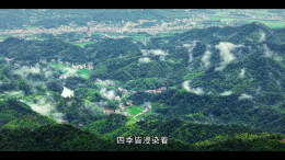 一湖水府景 寻美杏子铺