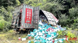 国网桑植县供电公司：党建赋能 贴心服务特色产业发展