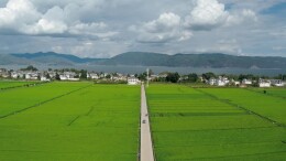 理论·新域头条 | 为全面推进乡村振兴贡献开放教育力量
