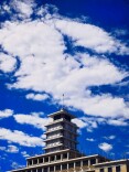 秋日晴空澄澈，抬头皆是好风景