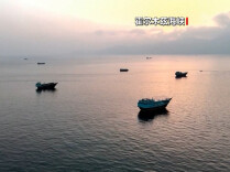 伊朗副外长：未经协调任何船只无法通过霍尔木兹海峡