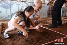 重庆办“考古模拟挑战赛” 民众上演探方大比拼