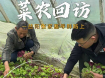 懂湘寻鲜｜这一场奔赴，无关买卖！庆哥：我吃了没文化的苦，所以想给会读书的孩子一点甜