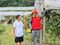 国网邵阳供电公司：电力护航千亩“碧绿珠”点亮乡村甜蜜产业