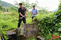 凤凰法院：强制拆除占道墙体 让公平正义直通田间地头
