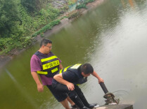 安仁县竹山乡积极应对台风“沙德尔”，扎实筑牢防汛安全防线