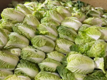 复盘康保“甲醛白菜”风波：失信易、立信难
