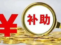 2026年国家基本公共卫生服务经费人均财政补助标准增至99元