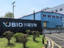 从依赖进口到出口全球 兴嘉生物把“饲料芯片”做到世界前列