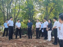 陈飞带队赴长株潭绿心地区调研《湖南省长株潭生态绿心保护条例》贯彻实施情况