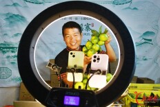 云端销鲜果