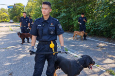 抽签定“战友”！北京警察学院警犬专业大三学生的开学第一课