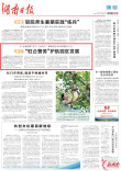 常宁 “驻企警务”护航园区发展丨湖南日报市州头条