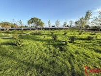 群众“身后事”，省心又暖心——安乡县殡葬改革蹲点见闻