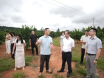 南华大学校领导赴安仁县长潭村调研乡村振兴工作