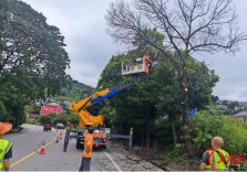 冷水江公路：清理枯树隐患 守护出行平安