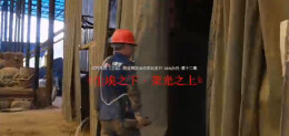 《尘埃之下·荣光之上》