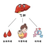 孕妈或家人得了乙肝，宝宝接触会感染吗？权威解答来了