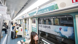 跻身“国字号”，产值破千万！张家界白羽乌鸡跑出乡村振兴加速度