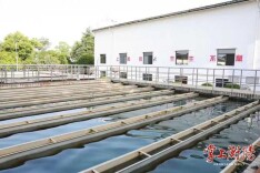 7月，衡阳市城区集中式生活饮用水水源水质达标率100%