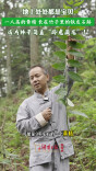 地上处处都是宝贝 这片林子简直“卧虎藏龙”！