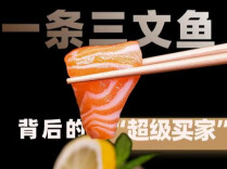 视频丨一条三文鱼，带你读懂中国“超级买家”的经济账