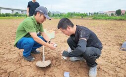 武陵区启动首批补充耕地质量鉴定