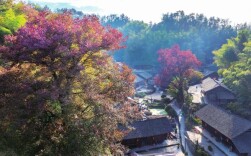 胡旭晟：慢慢的生活|湘江副刊·湘韵