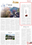 吴志雄：父亲的酒|湘江副刊·湘韵