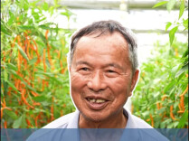 “一天做两天的事”！86岁“辣椒爷爷”为湘菜国际化促进大会育百种辣椒