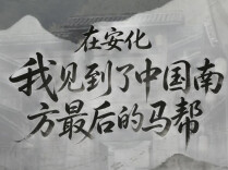 在安化，我看到了中国南方最后的马帮 | 省运采风④