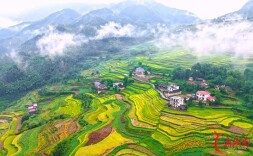 “云上梯田”美如画