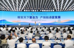 烟火里的粮香，科技中的新章 ——第八届中国粮食交易大会开幕观察