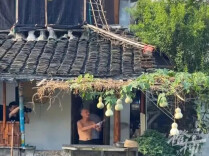 “葫芦娃爷爷”把7个葫芦全剪了，绍兴文旅回应