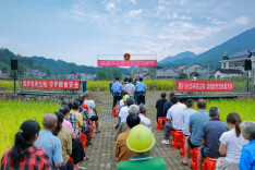 庭审搬进田间地头！桑植法院巡回审理一起非法占用农用地案