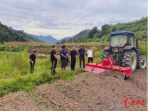 跨越山水送技术，情系塔卧助增收  祁东黄花映红塔卧致富路