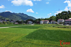安化河东村500余亩农田告别“望天收”