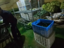 上海蔬菜集团：已全面暂停兰州榆中产地莴笋的进场销售